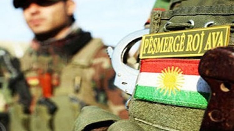 Roj Peşmergeleri: Şengal'den çekilmesi gereken biz değil, PKK'dir