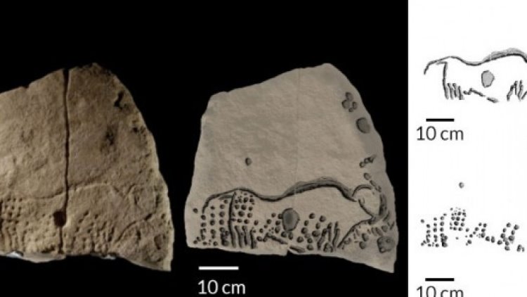 Fransa'da 38.000 yıllık kaya sanatı örneği keşfedildi