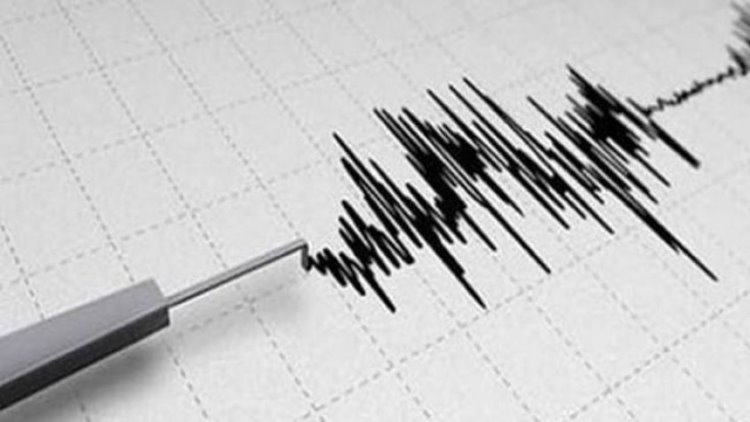 Van’ın Gevaş ilçesinde 4.5 büyüklüğünde deprem meydana geldi