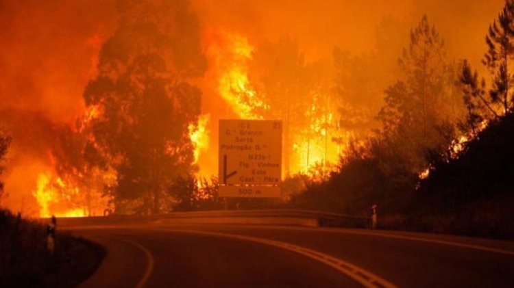 Portekiz'de orman yangınında ölenlerin sayısı artıyor