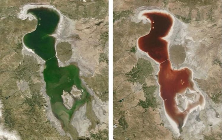 Hava sıcaklığının artmasıyla Urmiye Gölü kızıla dönüştü