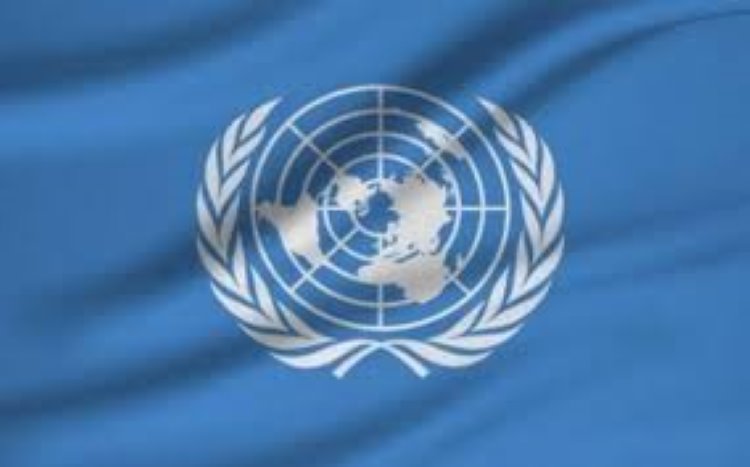 Birleşmiş Milletler Heyeti Şengal'de 