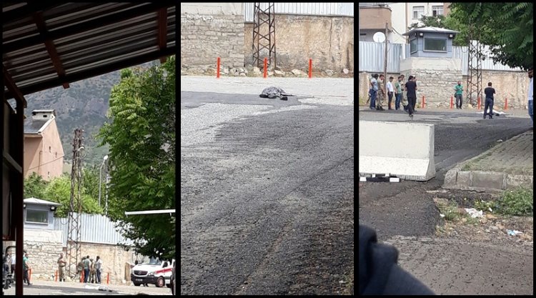 Askeri Zırhlı araç bu kez Diyarbakır Lice’de Pakize Hazar’ı katletti 