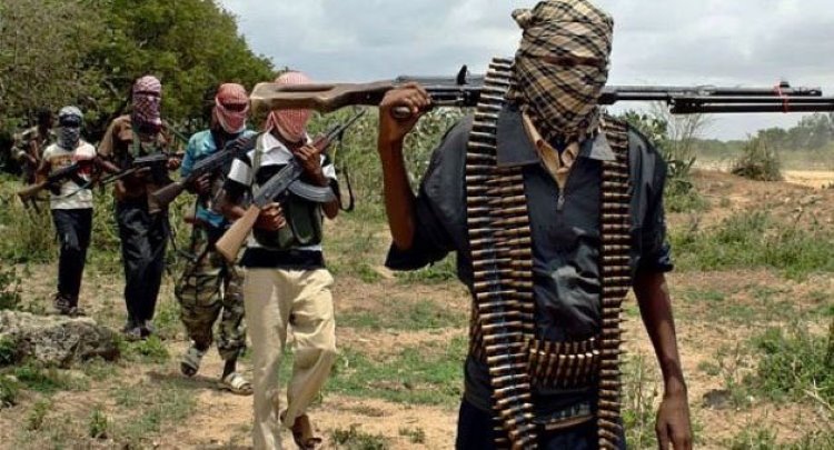 Çad'da 350 Boko Haram üyesi teslim oldu