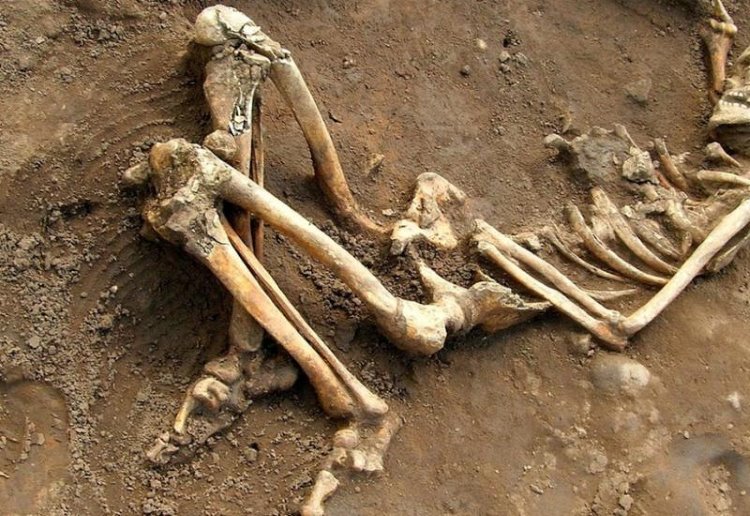 Japonya'da 27 bin yıllık insan iskeleti bulundu