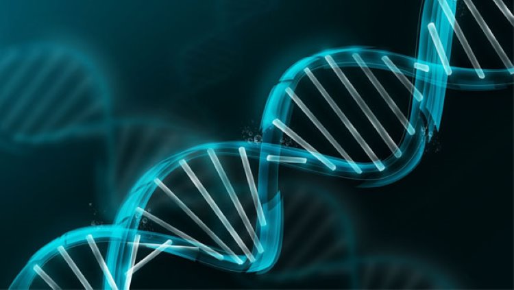 İnsan DNA'sı araştırmalarında gelinen nokta kanser gibi hastalıklar için ciddi bir umut oldu