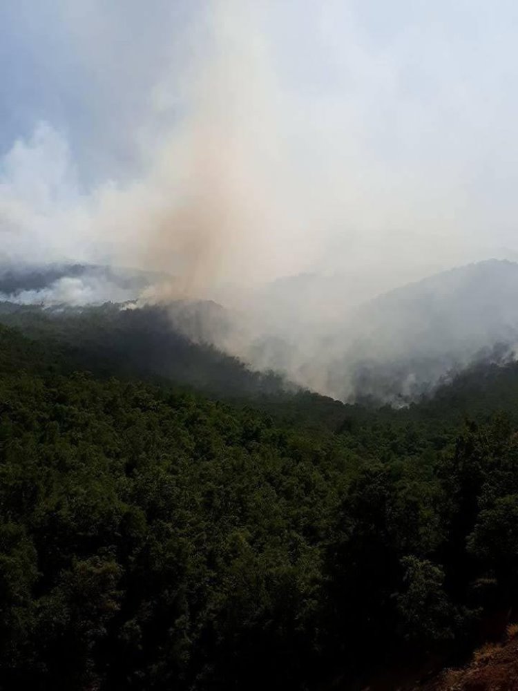 Dersim'deki orman yangını yerleşim yerlerini tehdit ediyor