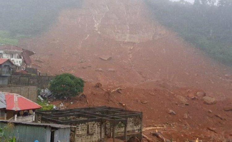 Sierra Leone'de Toprak Kayması: En Az 200 Ölü