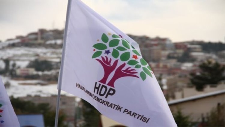 HDP'li Eşbaşkan tahliye edildi