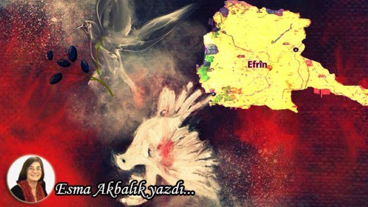 Esma Akbalık yazdı: Efrîn Barışın Sembolüdür... Direnişin ve Zaferin Kalesi Olacaktır ! Bugün Efrîn'liyim, her Kürd gibi kalbim Efrîn'de attıyor.