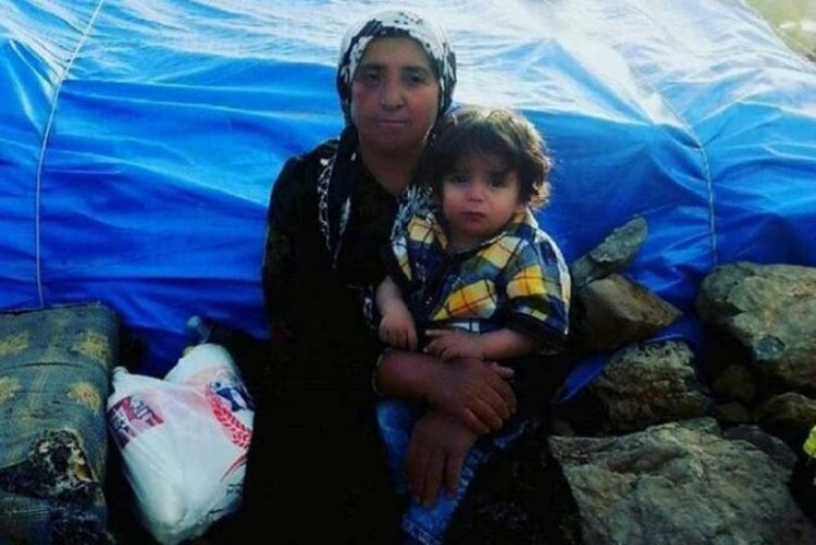 Şırnak'ta patlama: Koyunlarını otlatan kadın ağır yaralandı
