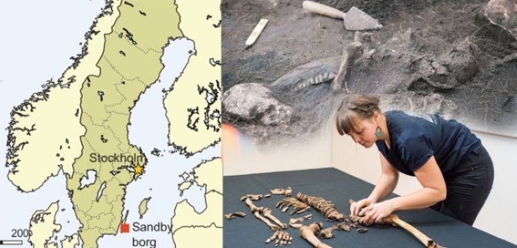 İsveç'te 1500 yıllık kanlı Viking katliamının izleri bulundu