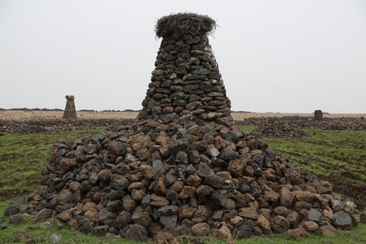 Diyarbakır-Çoban Arslan, leylekler için her yere taş kuleler yapıyor
