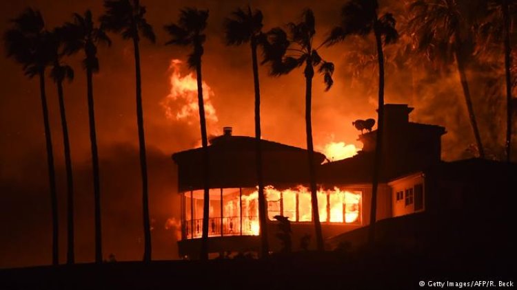 ABD'nin Kaliforniya eyaletini etkisi altına alan yangınlar sonucu hayatını kaybedenlerin sayısı 50'ye yükseldi, 200'den fazla kişi'de kayıp