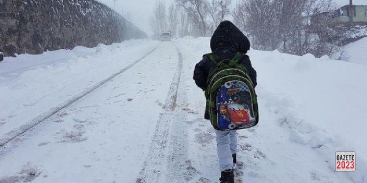 10 Kürt ilinde eğitime kar tatili, 237 yerleşim birimi ulaşıma kapandı