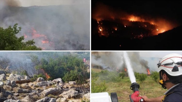 ÖSO, Afrin ormanlarını yakıyor
