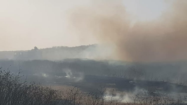 Haseke'de önlenemeyen yangın: Halk seferber oldu