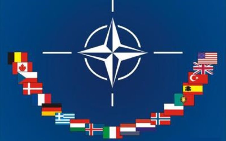 Daily Telegraph yazarı: Türkiye'yi NATO'dan atma zamanı geldi