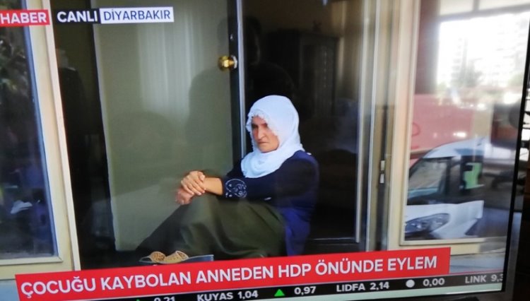 HDP tarafından dağa kaçırıldığı iddia edilmişti...O gencin cezası belli oldu!