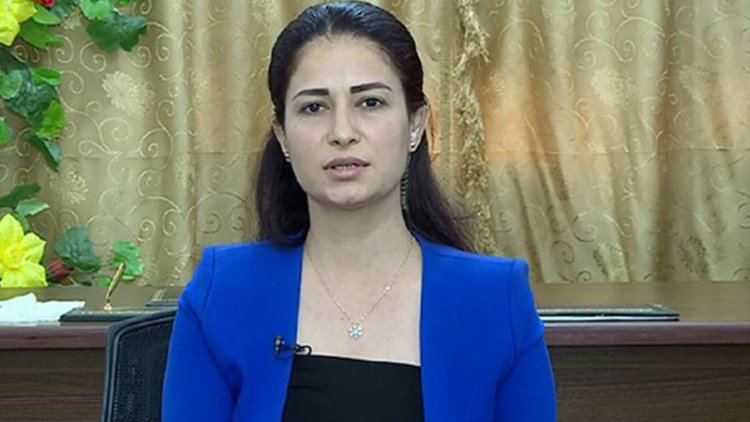 DSG'den Rojava'ya yönelik uçuşa yasak bölge talebi