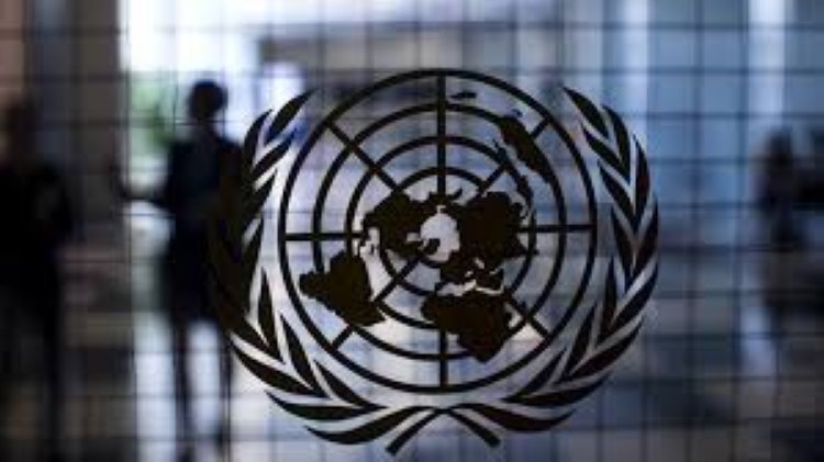 BM'den çağrı: Cezaevlerindeki insan sayısı azaltılsın