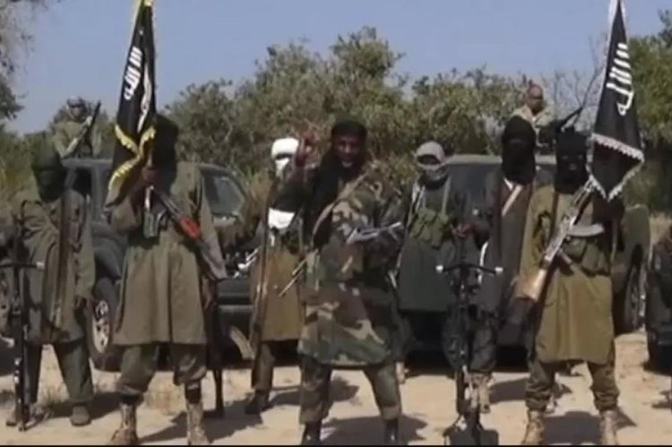 Boko Haram'ın 11 üst düzey üyesi öldürüldü