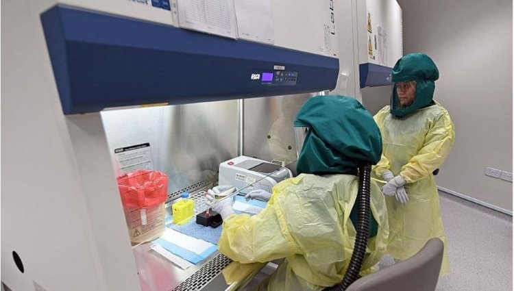 Çin: WHO, laboratuvarları ziyaret etme talebinde bulunmadı