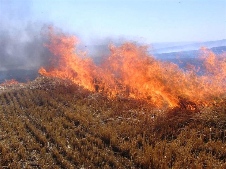 BM'den Kürtlere ait ekili arazilerin yakılmasına ilişkin açıklama