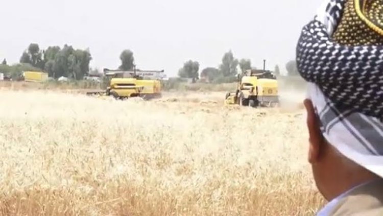 Kürdistan Tarım Bakanlığı: Kürt çiftçilerin arazileri planlı olarak yakılıyor