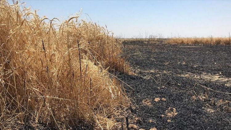 Kerkük’te Kürt çiftçilerin tarlaları ateşe veriliyor