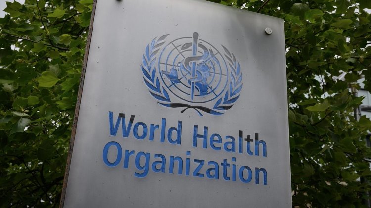 Dünya Sağlık Örgütü'ne uluslararası soruşturma kararı