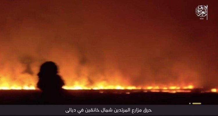 Kürtlerin ekinleri yakıldı: Olayı IŞİD üstlendi