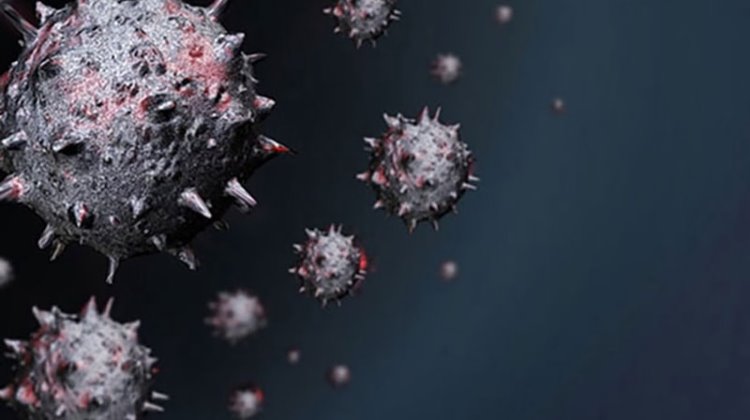 DSÖ: Koronavirüs'ü kontrol altına almamız 5 yılı bulabilir