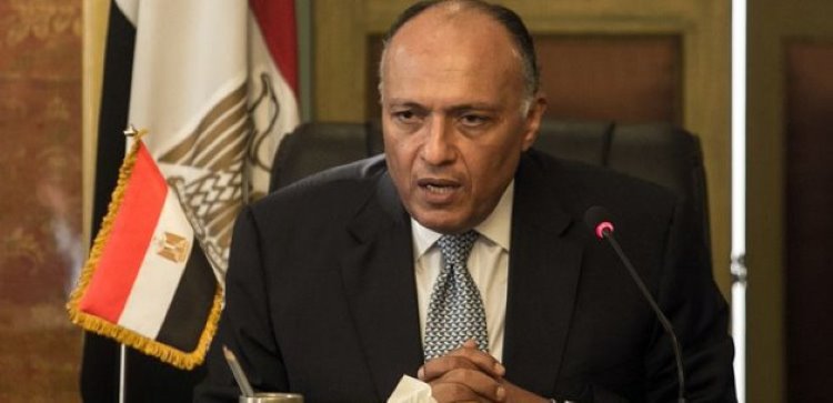 Mısır Dışişleri Bakanı: Türkiye'nin yayılmacı politikasına karşıyız