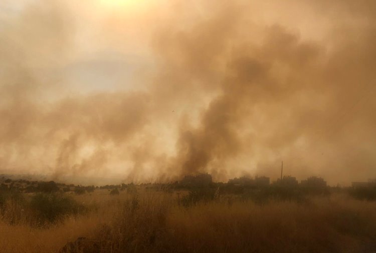 Rojava’da 120 bin dönüm arazi yakıldı