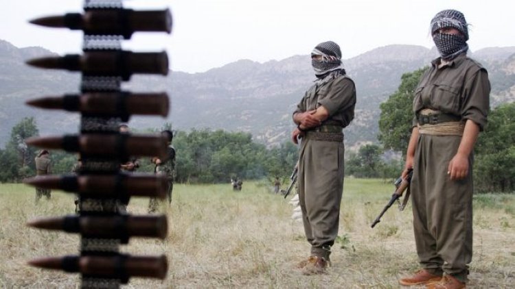 Soran Sêwkanî: PKK, Kürt çocuklarını kendi çıkarları için kullanıyor