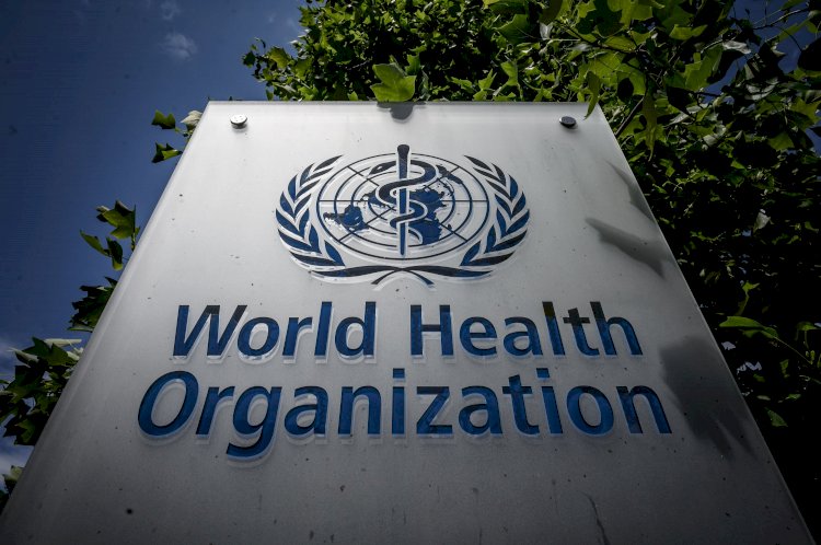 Dünya Sağlık Örgütü’nden dünyaya grip aşısı olma çağrısı