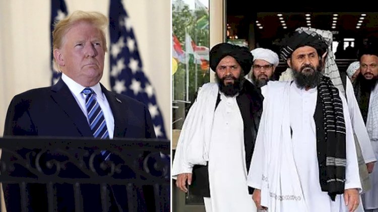 Taliban Sözcüsü: Umarız seçimleri Trump kazanır