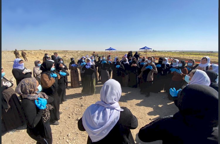 Şengal'de Ezidi kadınların gömülü olduğu toplu mezar açılıyor