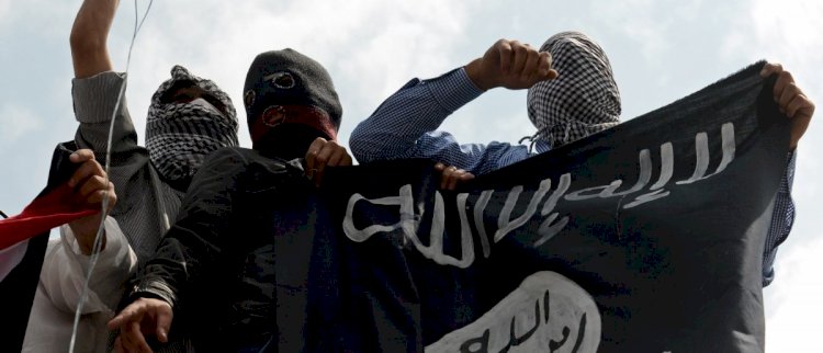 Sere Kaniye'de IŞİD bayraklı Fransa protestosu