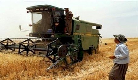 İthal araplar, Kürt çiftçilerin tarım arazilerini sürmeye başladılar
