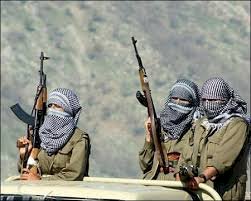 'PKK, Kürdistan Bölgesi'nden çıkmadıkça Türkiye'nin saldırıları son bulmayacak'