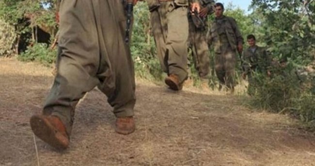 Alî Avnî: PKK Kürtlerin içerisindeki Truva Atı'dır