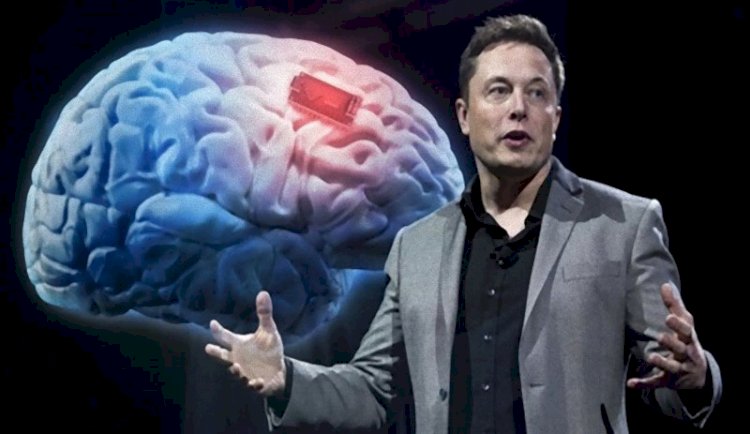 Elon Musk'ın beyin çipi insan üzerinde de denenecek
