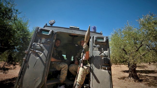 Silahlı gruplar Afrin'de 15 bin zeytin ağacına el koydu