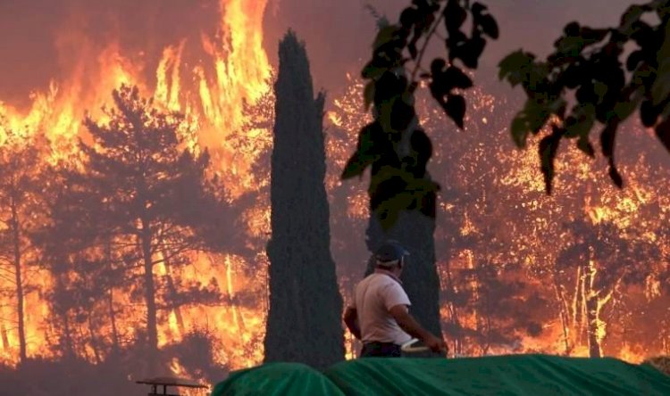 Türkiye'nin güneyi yanıyor! 7 kentte 21 orman yangını sürüyor
