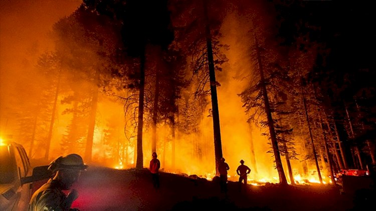 KCK'den orman yangınları açıklaması