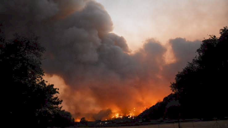 Şemdinli’de orman yangını: Yangın köylere ulaşmak üzere
