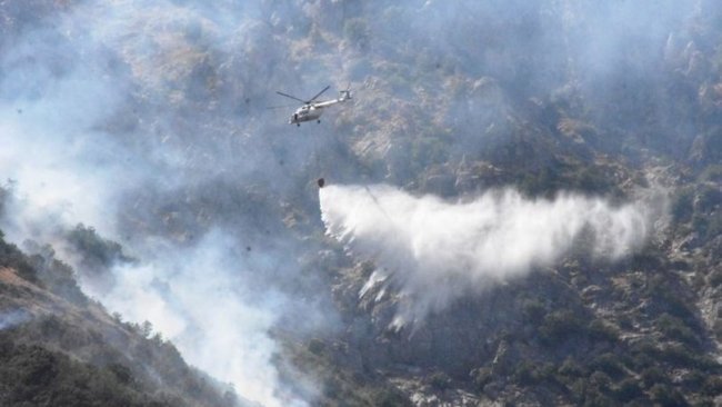 Bitlis’te 4 gün süren yangınında 40 hektar alan zarar gördü