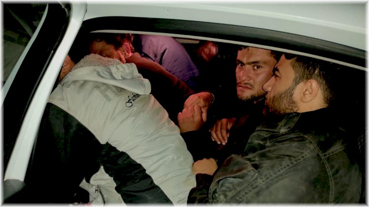 Bitlis'te 2 otomobilde 29 göçmen yakalandı